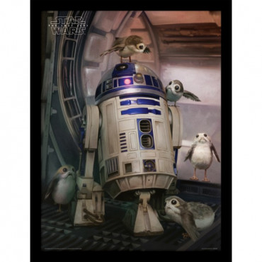 Постер в рамі Star Wars The Last Jedi (R2-D2 & Porgs) / Зоряні війни 30 х 40 см