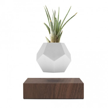 Левітуючий кашпо Flyte Lyfe Planter, горіх