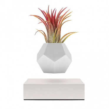 Левітуючий кашпо Flyte Lyfe Planter, білий