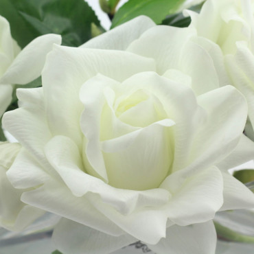 Парфюмированные цветы Cote Noire «Французские белые розы-Ivory White Oval», арома спрей Savon